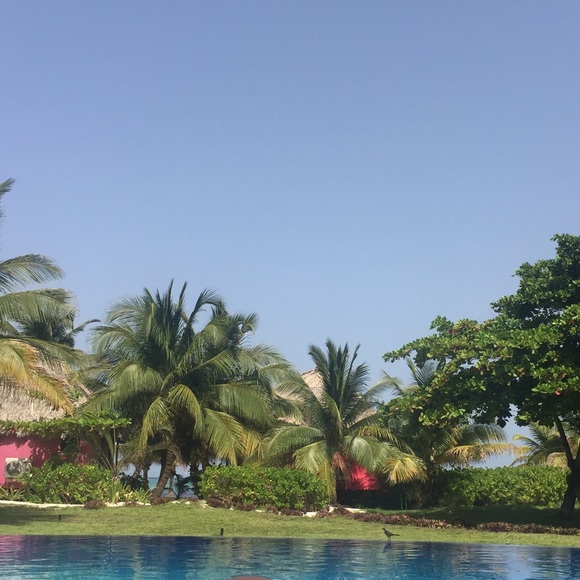 Meet your Posher, Elizabeth - Picture 1 of 1